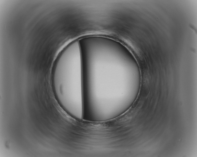 X0000098201460200804241027