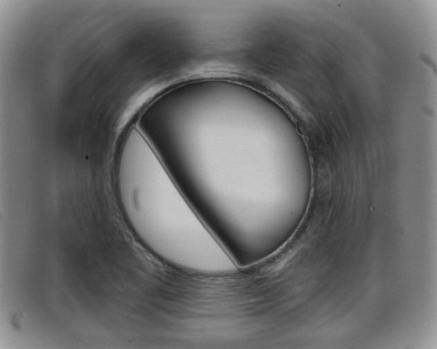 X0000098201461200804241027