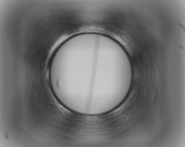 X0000098201462200804241027