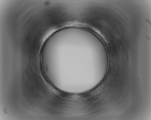X0000098201463200804241027