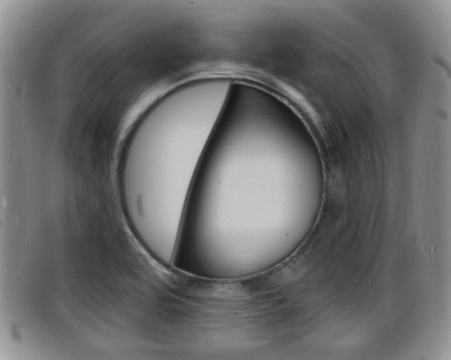X0000098201464200804241027