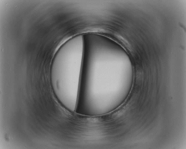 X0000098201465200804241027