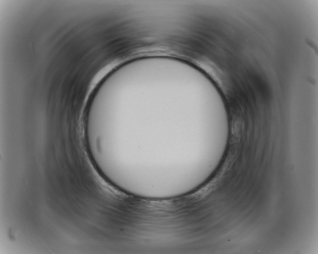 X0000098201466200804241027