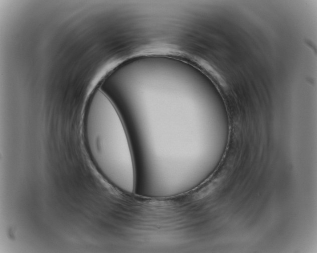 X0000098201469200804241027