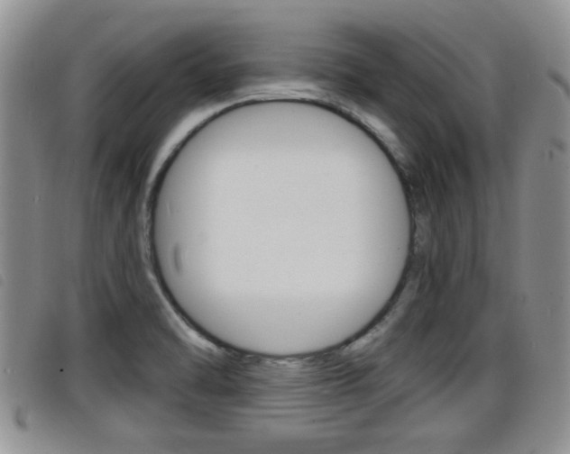X0000098201470200804241027