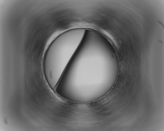 X0000098201472200804241027