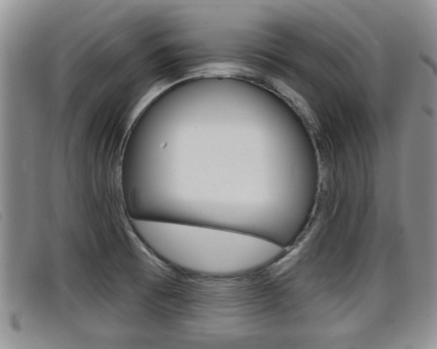 X0000098201473200804241027