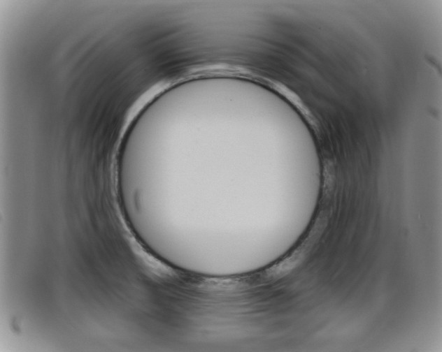 X0000098201474200804241027