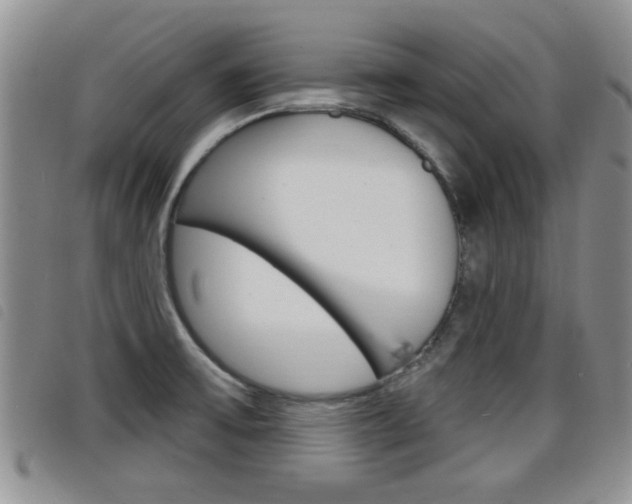 X0000098201475200804241027