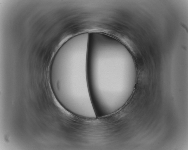 X0000098201476200804241027