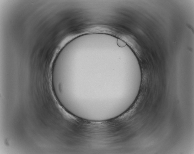 X0000098201478200804241027