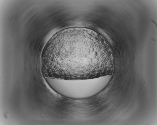 X0000098201479200804241027