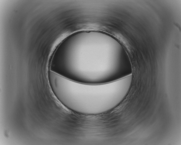 X0000098201480200804241027