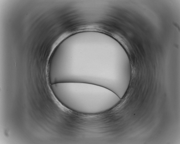 X0000098201482200804241027