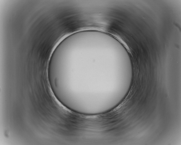 X0000098201484200804241027