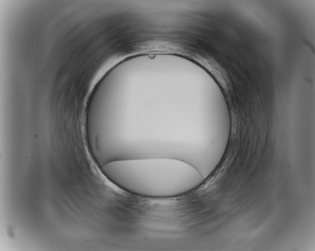 X0000098201486200804241027