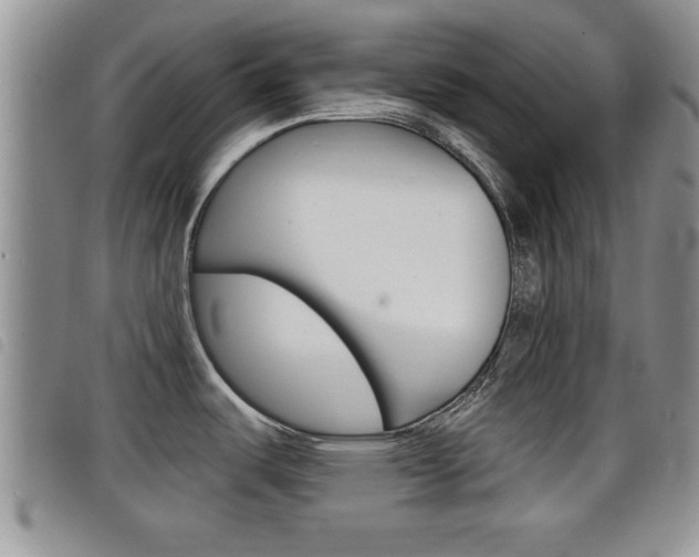 X0000098201487200804241027