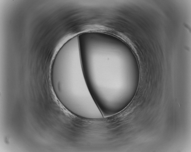 X0000098201488200804241027