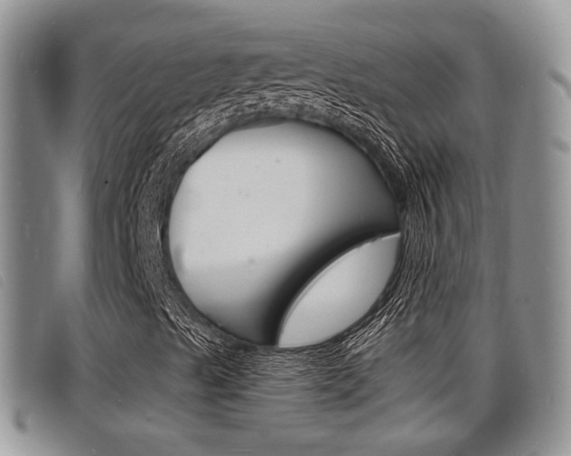 X0000098201489200804241026
