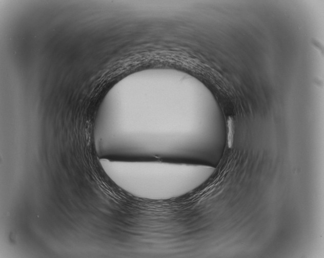 X0000098201491200804241026