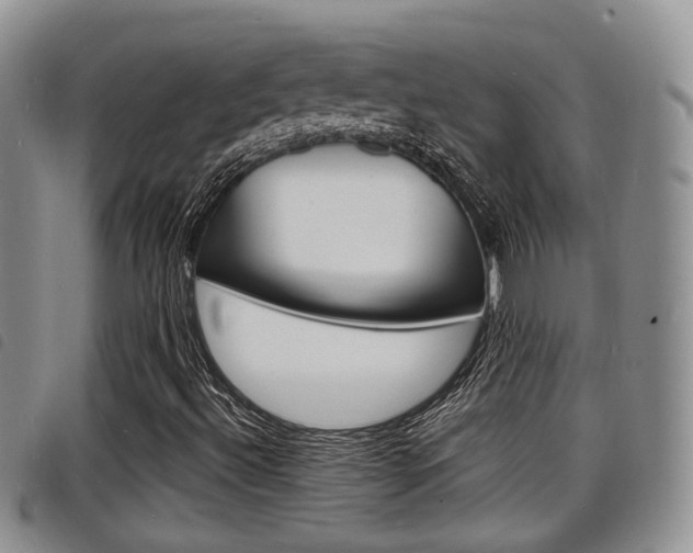 X0000098201492200804241026