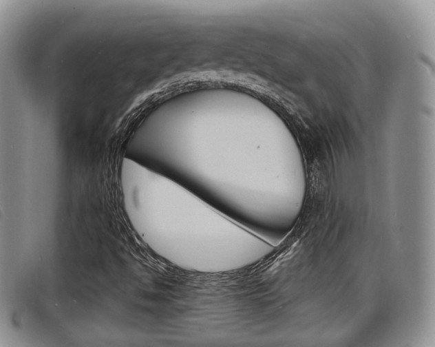 X0000098201494200804241026
