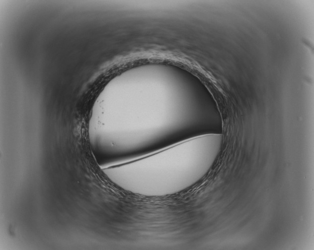 X0000098201495200804241026