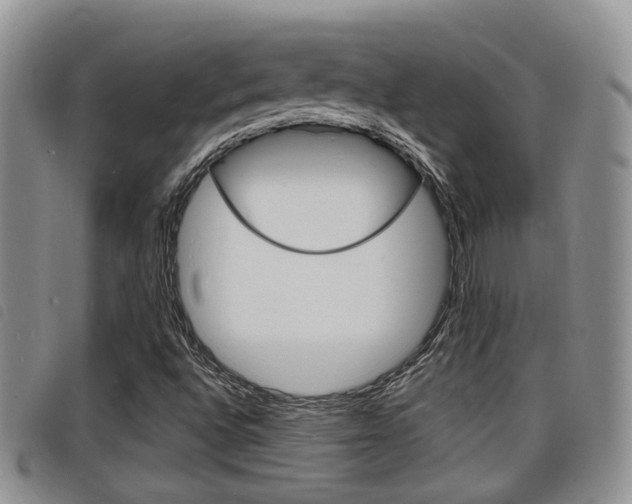 X0000098201496200804241026