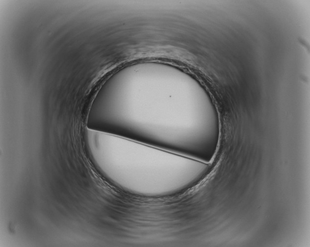 X0000098201497200804241026