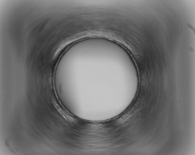 X0000098201499200804241026