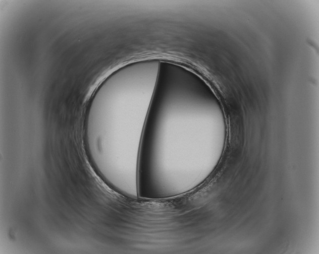 X0000098201500200804241026