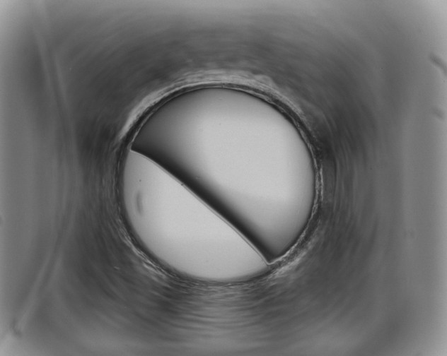 X0000098201501200804241026