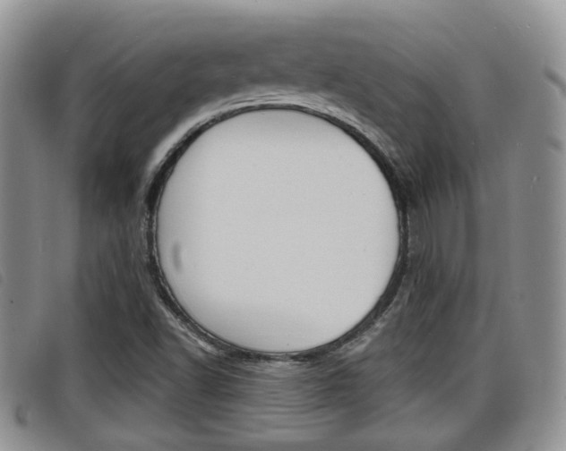 X0000098201502200804241026