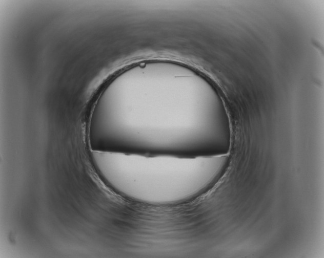 X0000098201503200804241026