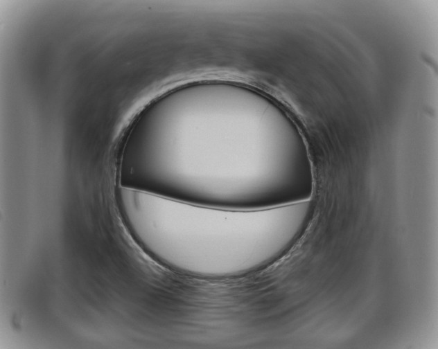 X0000098201504200804241026