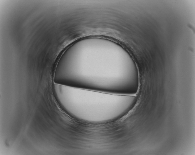 X0000098201505200804241026