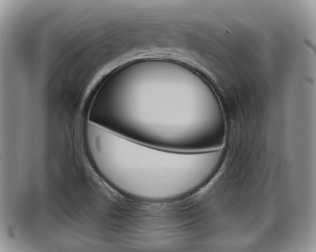 X0000098201506200804241026