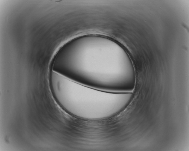 X0000098201508200804241026