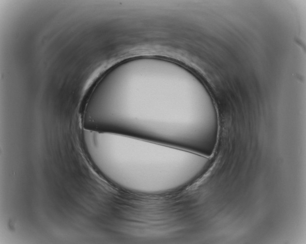 X0000098201509200804241026