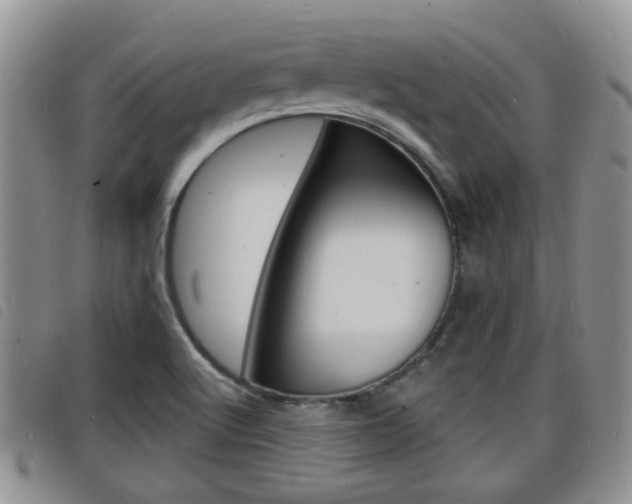 X0000098201512200804241026