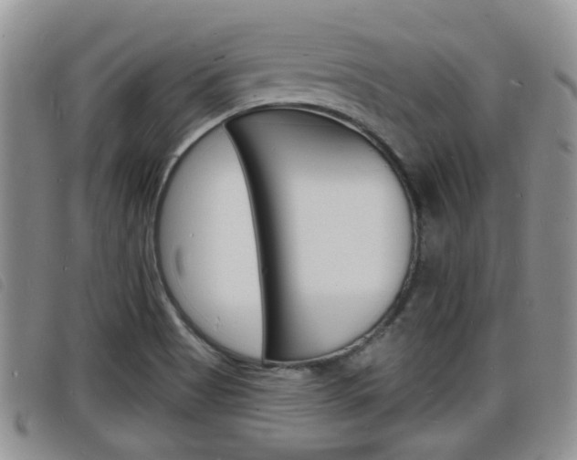 X0000098201513200804241026