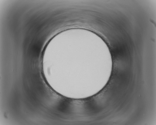 X0000098201514200804241026