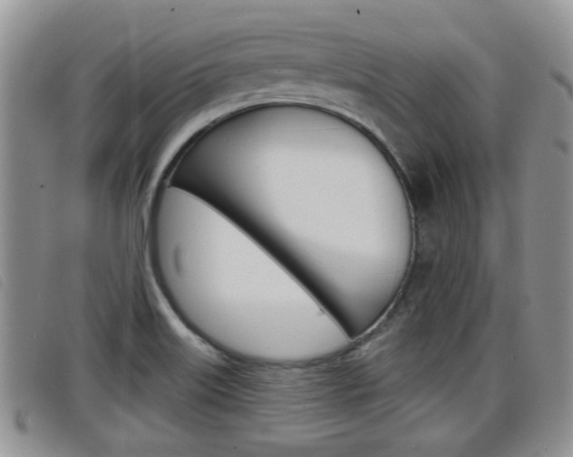 X0000098201515200804241026