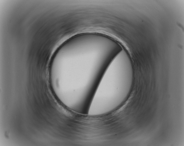 X0000098201517200804241026