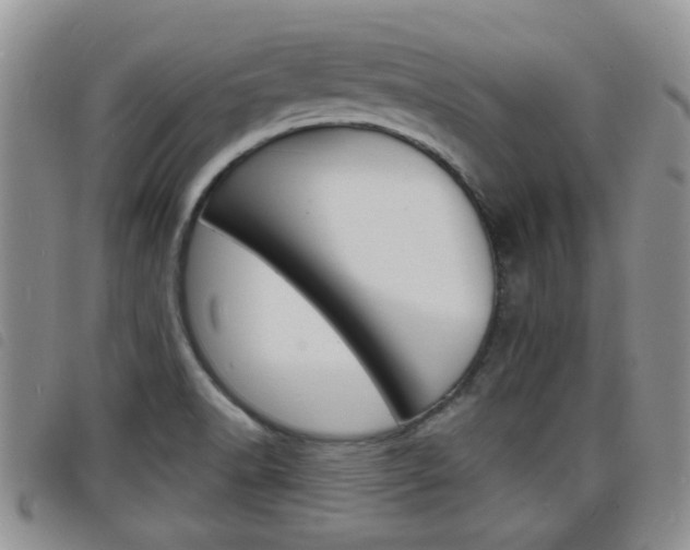 X0000098201518200804241026