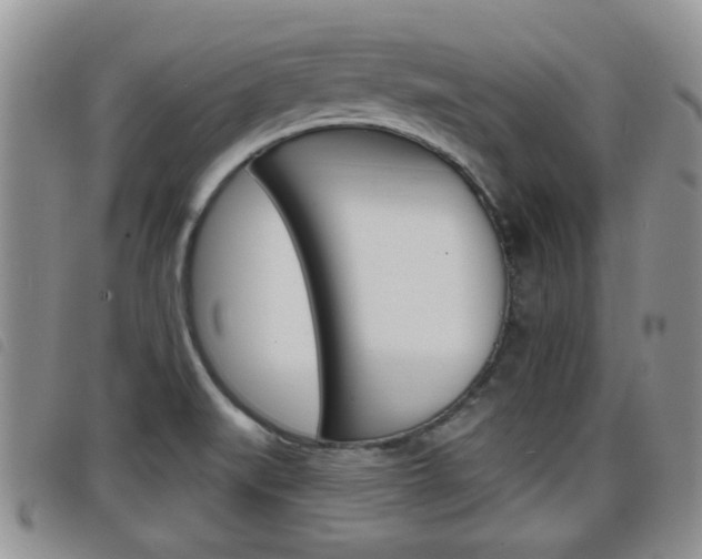 X0000098201519200804241027