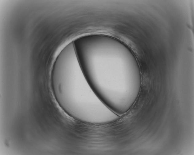 X0000098201520200804241027
