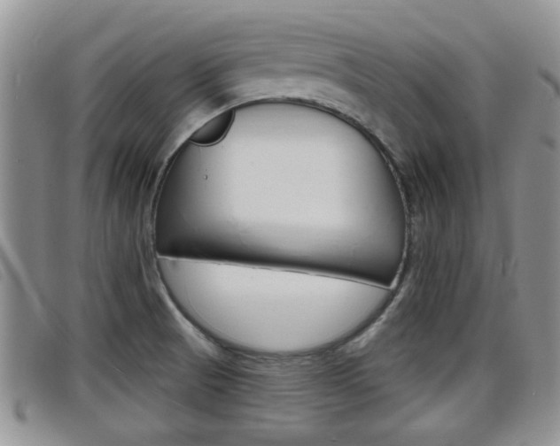 X0000098201521200804241027