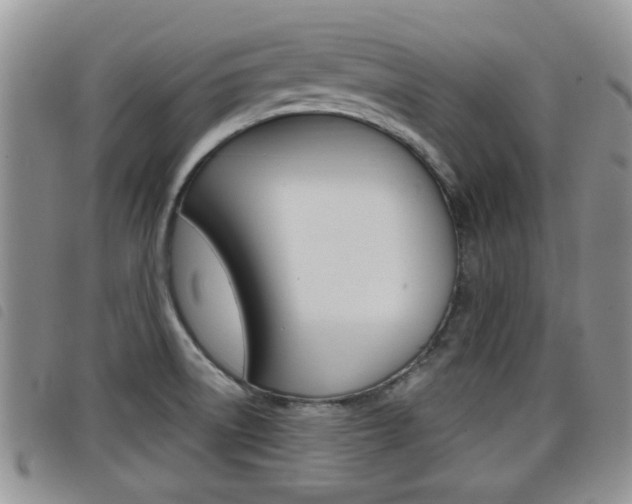X0000098201522200804241027