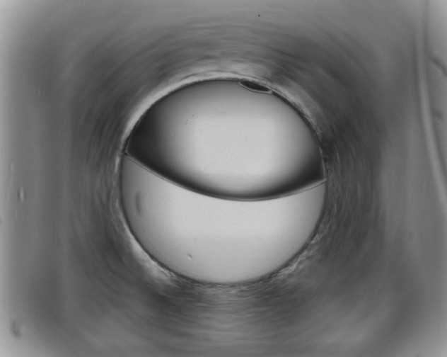 X0000098201524200804241027